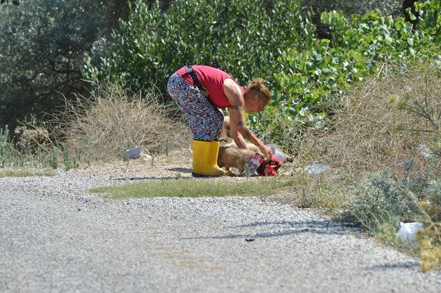 Özlem Tekin bakın nerede ortaya çıktı. İnzivaya çekilmişti 10