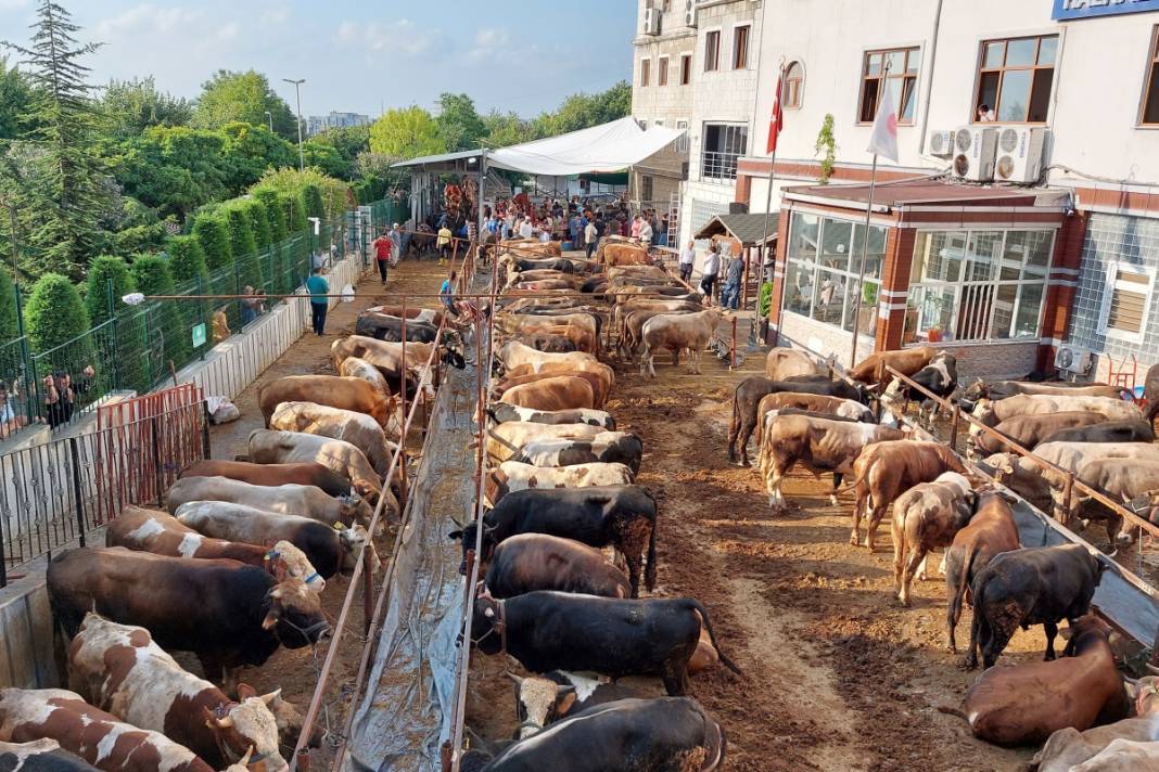 Kurban vekaleti nasıl verilir ve nasıl alınır? Ücreti belli oldu 7