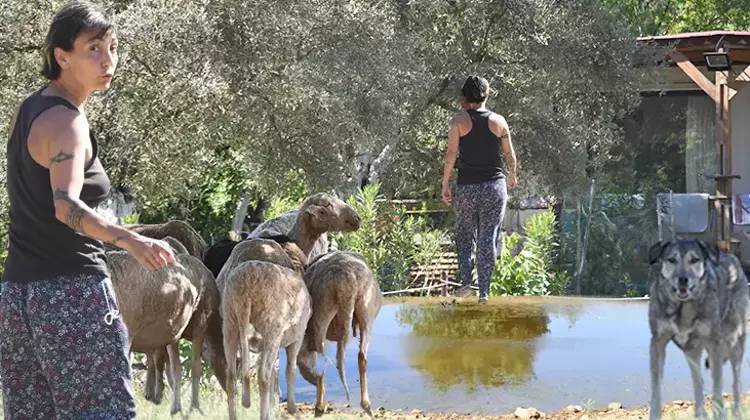 Özlem Tekin bakın nerede ortaya çıktı. İnzivaya çekilmişti 2