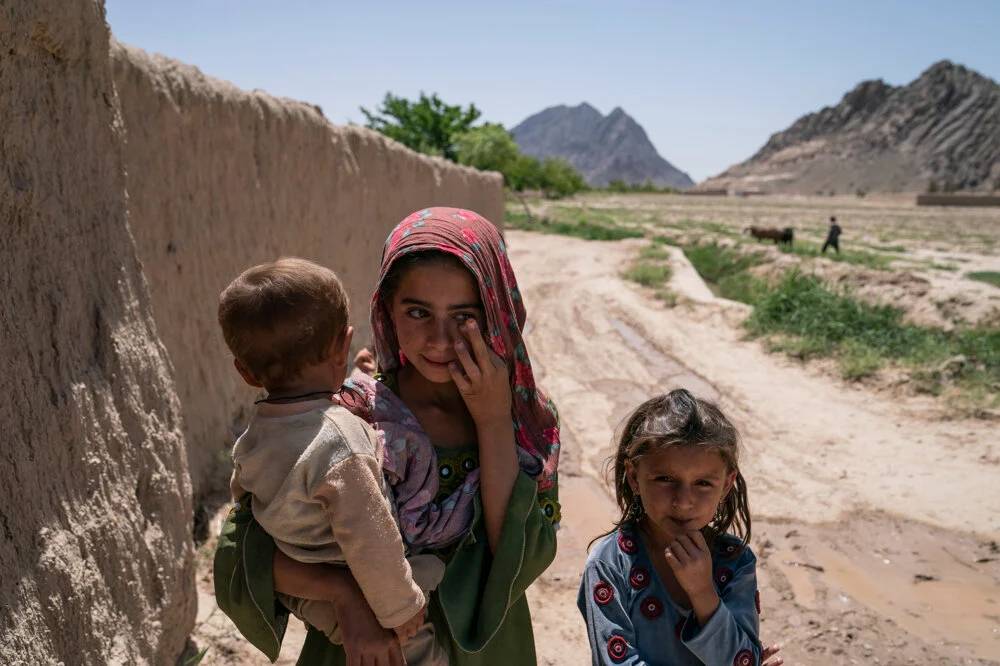 Taliban'ın haşhaş yasağı Afganları ölüme sürüklüyor 3