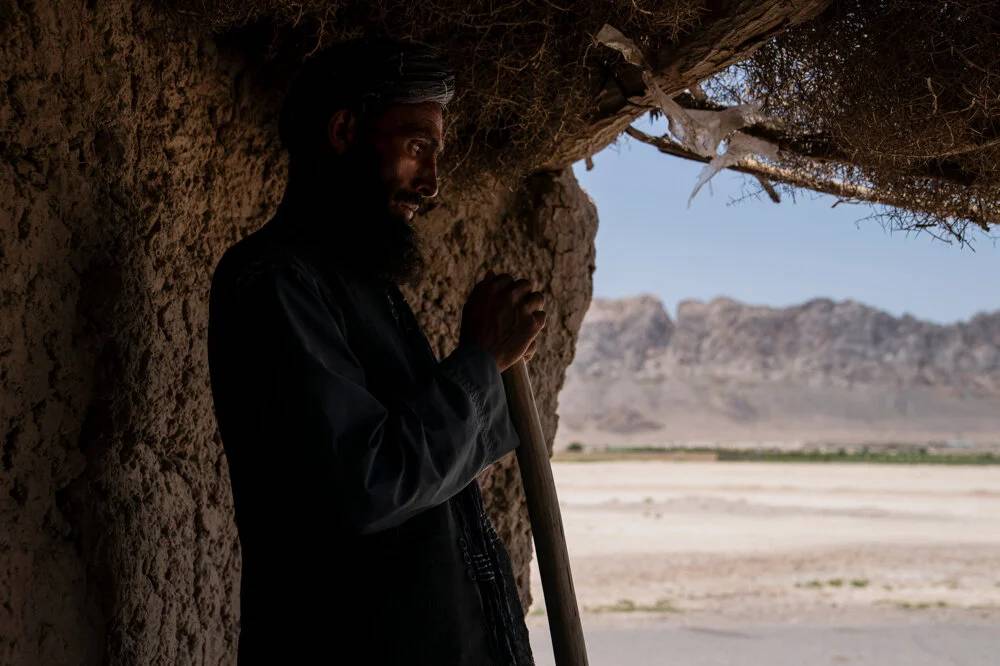 Taliban'ın haşhaş yasağı Afganları ölüme sürüklüyor 2