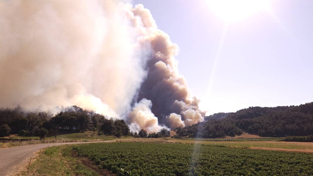 Çanakkale'deki orman yangını büyüyor. Bir köy boşaltıldı 11