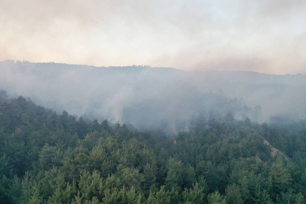 Çanakkale'deki orman yangını kontrol altına alındı 11