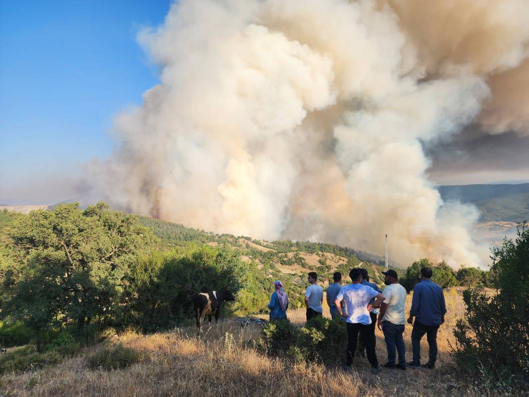 Çanakkale’de yeni orman yangını. İki köy boşaltıldı 9