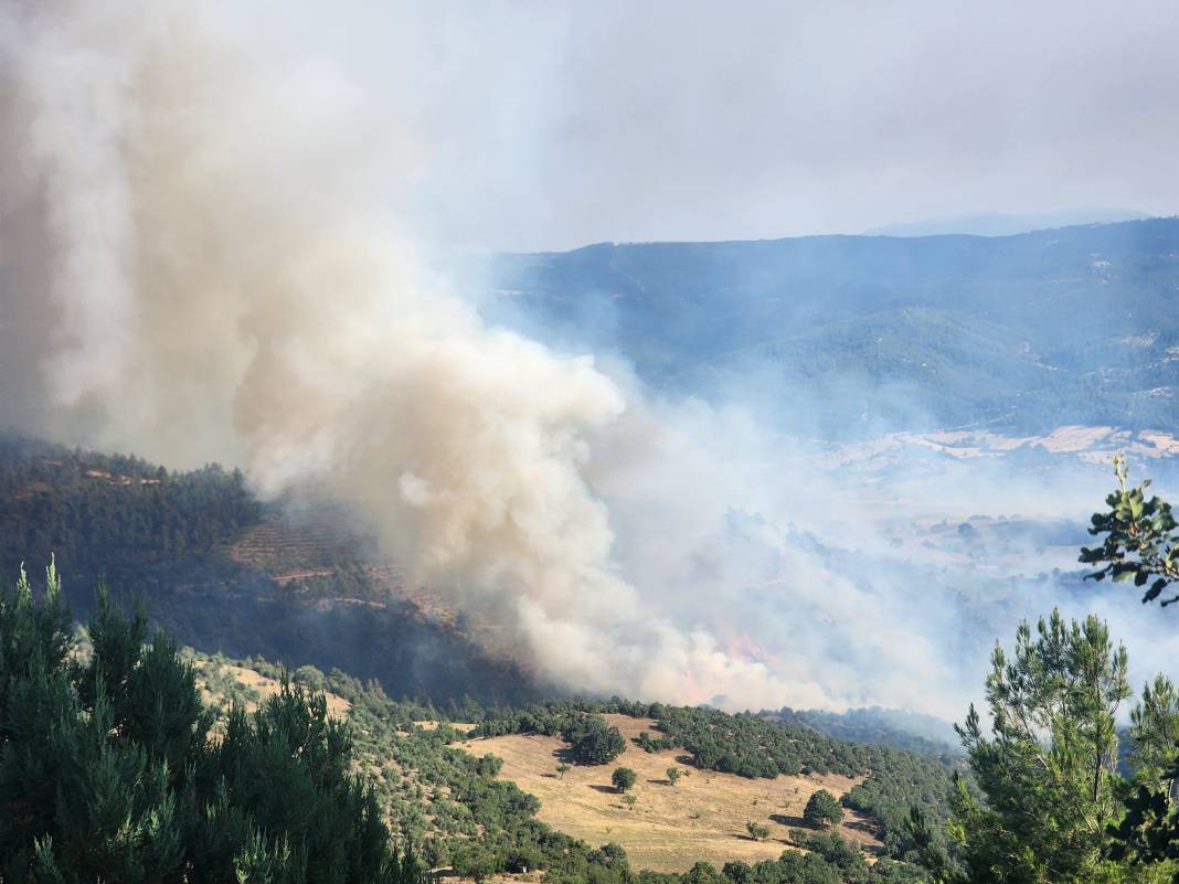 Çanakkale’de yeni orman yangını. İki köy boşaltıldı 10