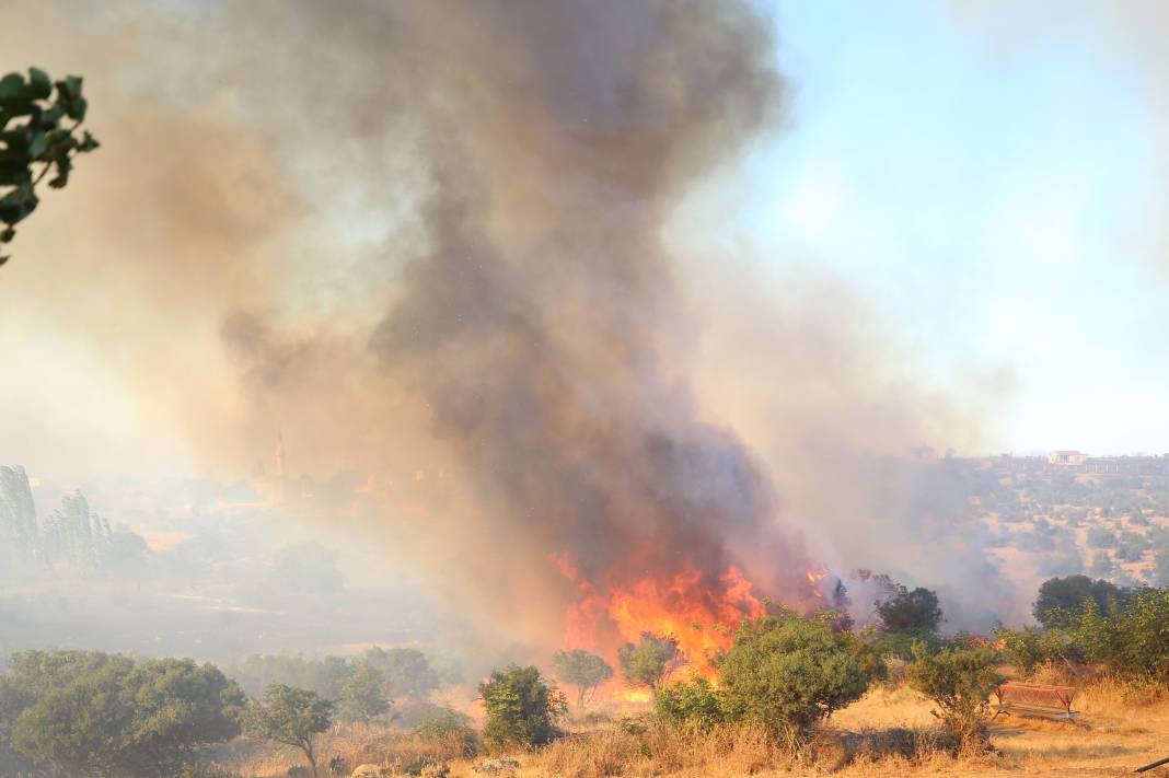 Çanakkale’de yeni orman yangını. İki köy boşaltıldı 2