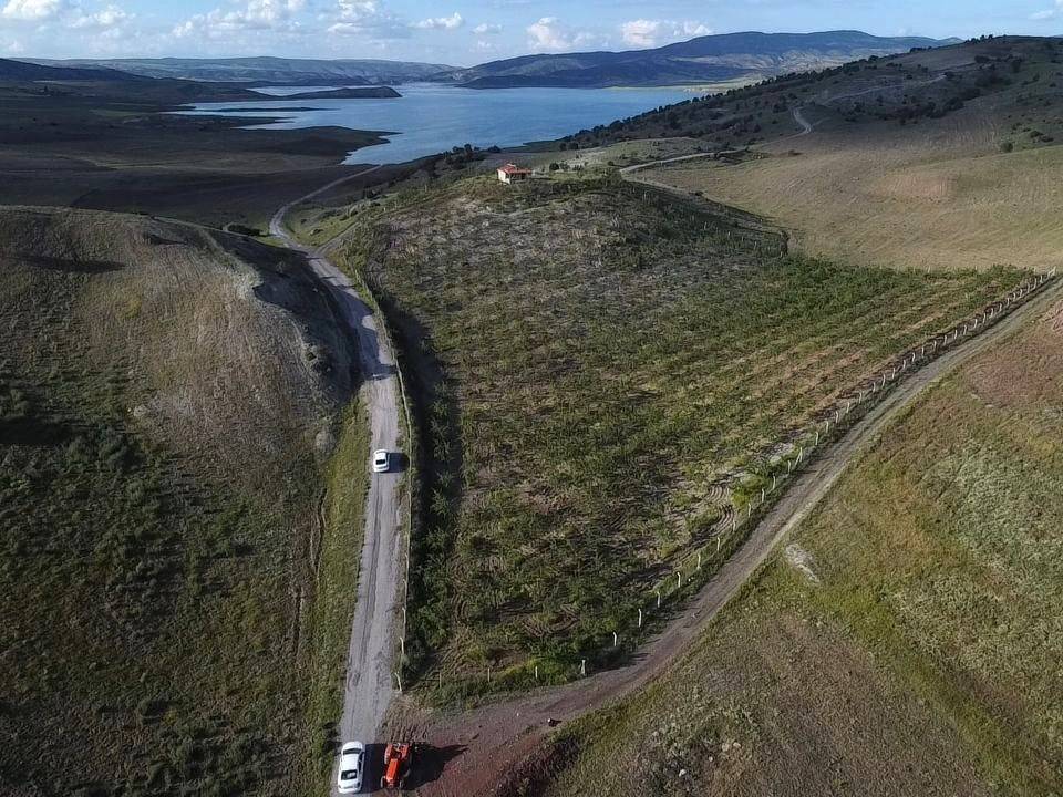 Tarlasına bunu ekince hayatı değişti. Herkese önerdi. Yapan köşeyi dönecek 2