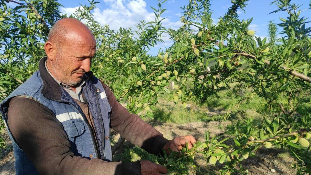 Tarlasına bunu ekince hayatı değişti. Herkese önerdi. Yapan köşeyi dönecek 1