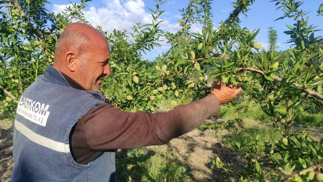 Tarlasına bunu ekince hayatı değişti. Herkese önerdi. Yapan köşeyi dönecek 3