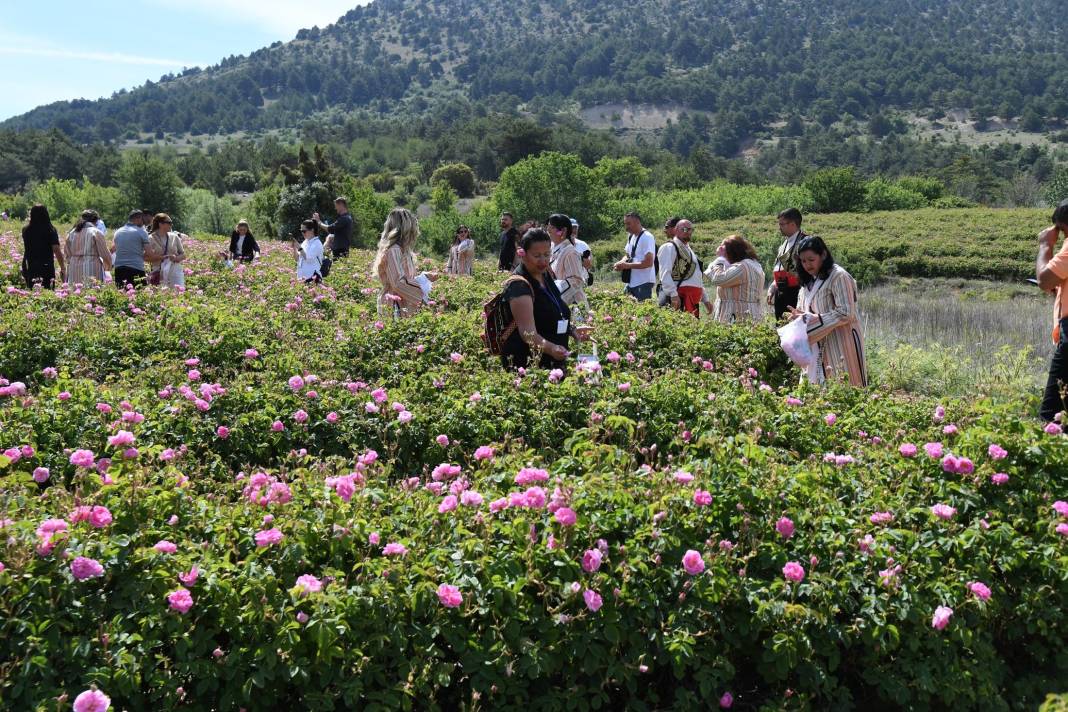 Uluslararası Isparta Gül Festivali'nde renkli görüntüler ortaya çıktı 2