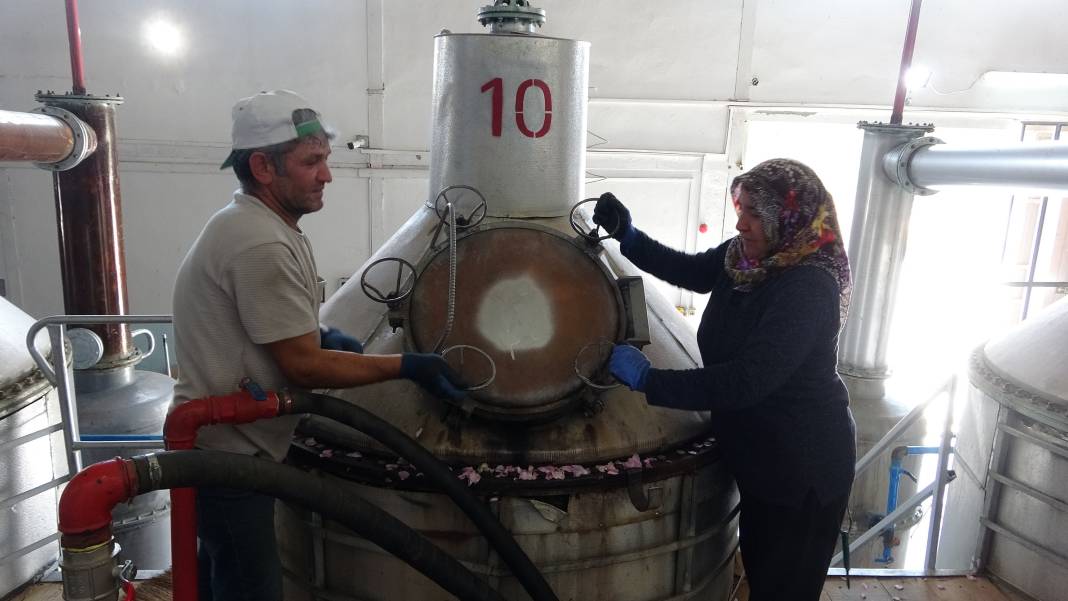 4 tondan 1 litre çıkıyor 421 bin TL'ye satılıyor. Dünyanın ihtiyacını o ilimiz karşılıyor 4