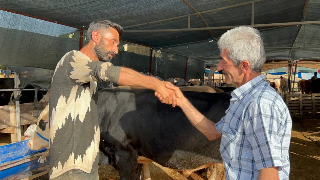 Kurbanlık alacaklar dikkat! 1 ton 50 kiloluk dana bakın kaçtan gitti 8