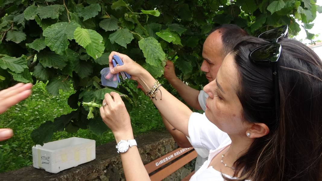 20 bin samuray Giresun’da. Korumayı onlar yapacak 3