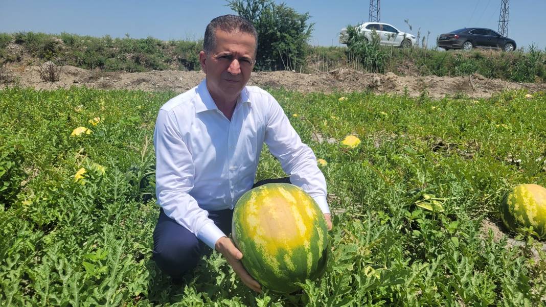 Aşırı sıcak kavun, karpuz, biber ve domatesleri yaktı 4