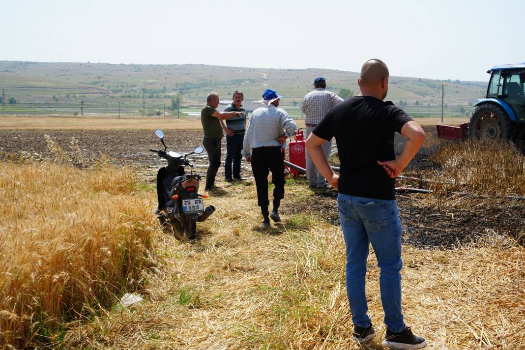 Saksağan çiftçiyi dev zarara soktu. Haberi alan tarlaya koştu 1