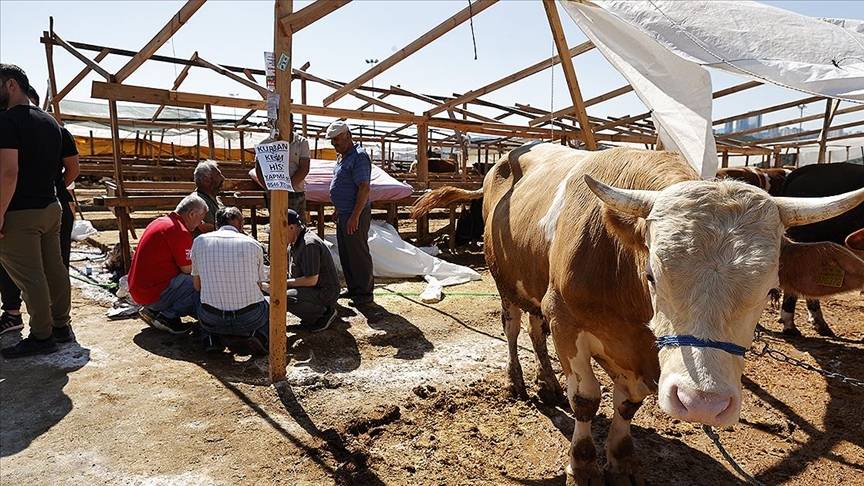 Kurban nasıl kesilir? Kurban keserken nelere dikkat etmeli? 4