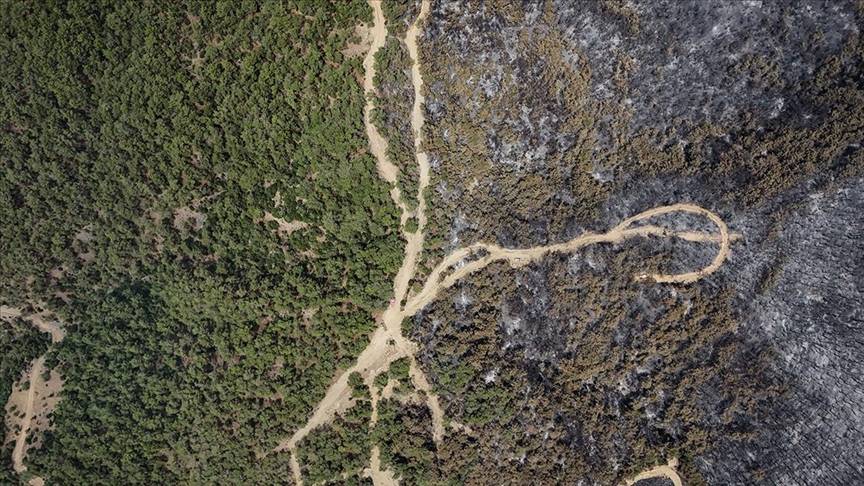Kahreden manzara! Bornova'da yanan ormanlar dronla görüntülendi 33