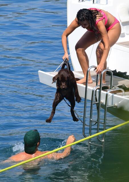 Köpeklerinin yüzmesini kameraya aldı 6