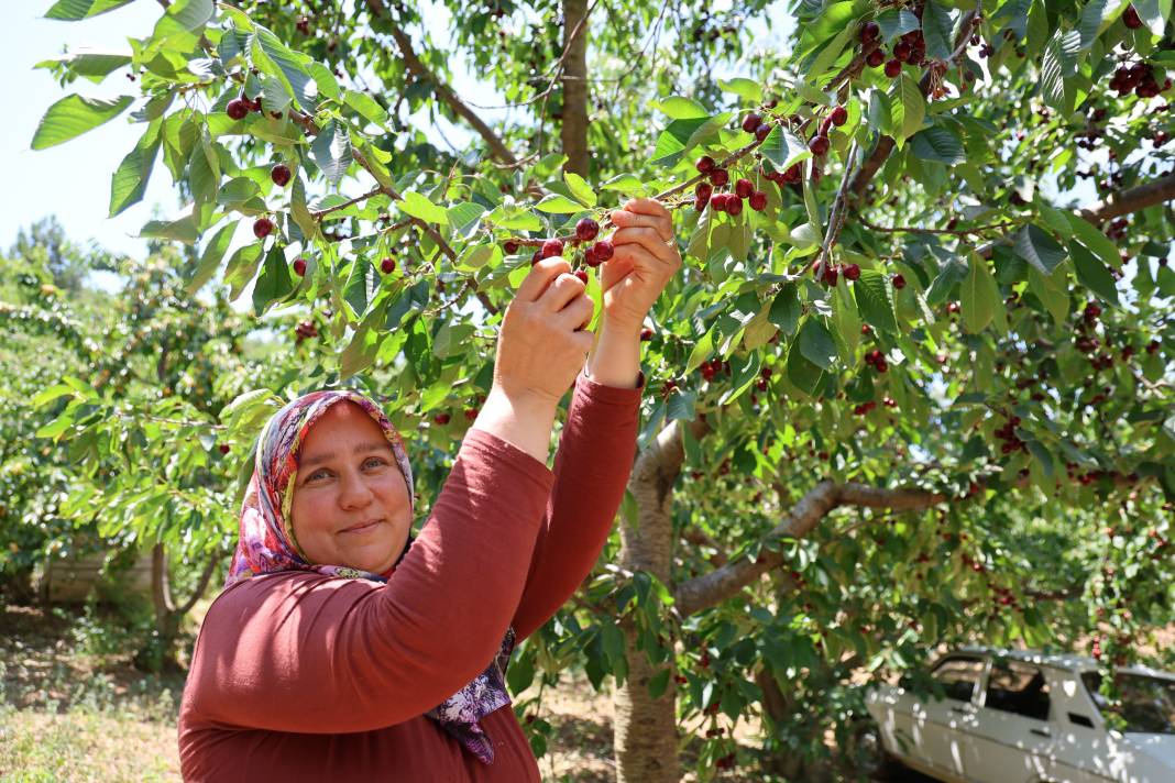 Lezzeti ülke sınırlarını aştı dalında 10 markette 140 TL 1