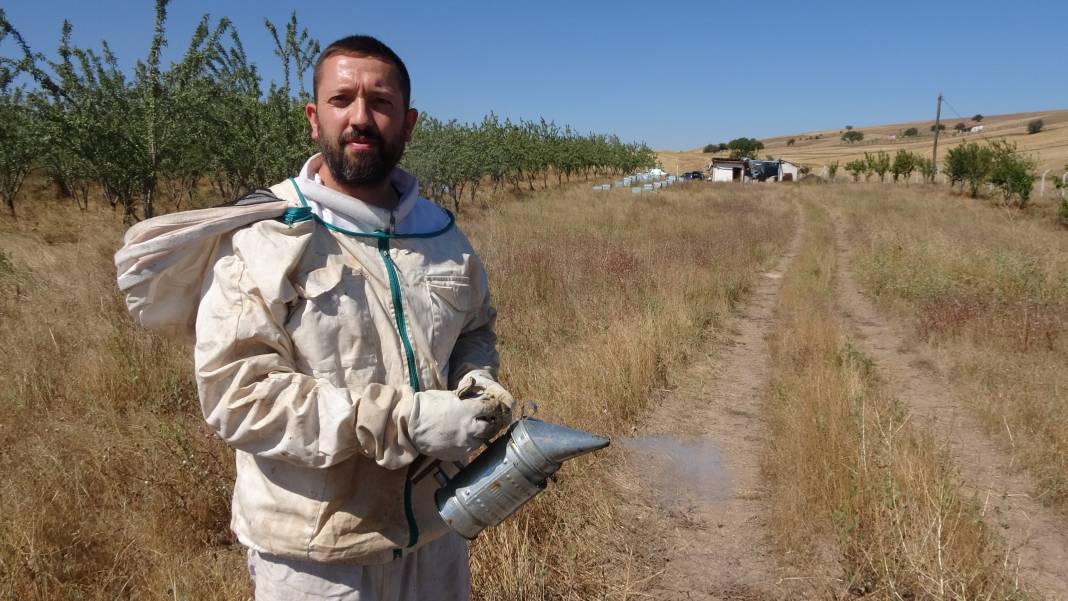 Özel kıyafetlerle hasadı yapılıyor çevre illere dağıtılıyor 3