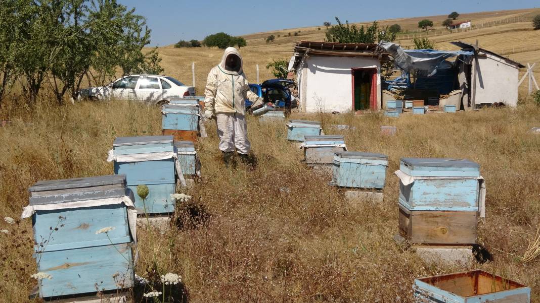 Özel kıyafetlerle hasadı yapılıyor çevre illere dağıtılıyor 4