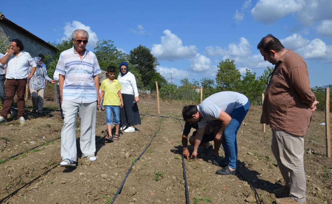 Bir kere ekiliyor 15 yıl biçiliyor 60 günde 3 metre oluyor. Türk çiftçisi sevinçten havalara uçtu 1