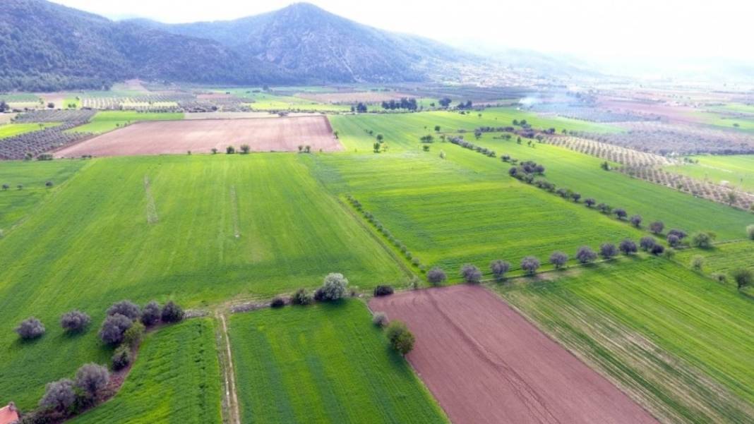 Milli Emlak'tan yazlık bölgede ucuza tapu fırsatı. Temmuz kampanyası duyuruldu 8