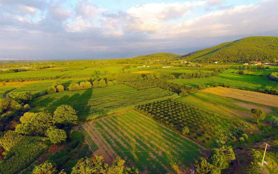 Milli Emlak'tan yazlık bölgede ucuza tapu fırsatı. Temmuz kampanyası duyuruldu 3