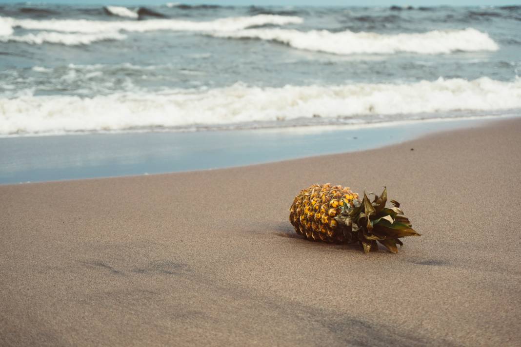 Ananas yemeden önce bilmeniz gereken 25 gerçek 16