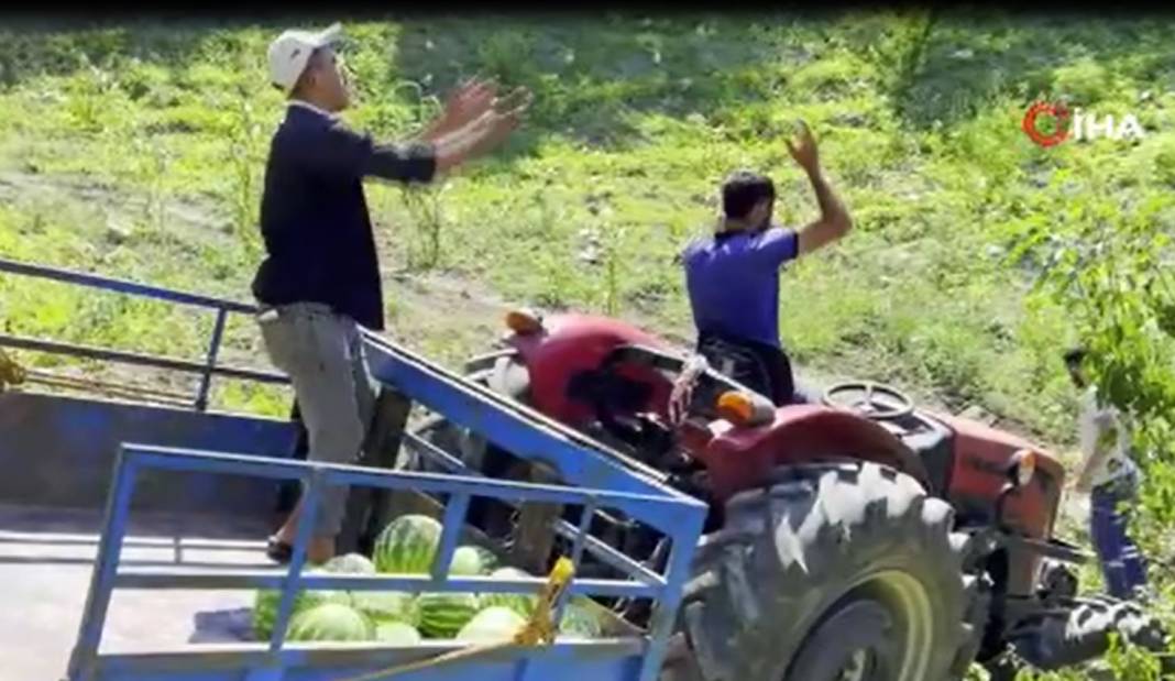 Tarladaki damak çatlatan lezzete çiftçiden şok eden önlem. Kilosu 10-15 TL 3