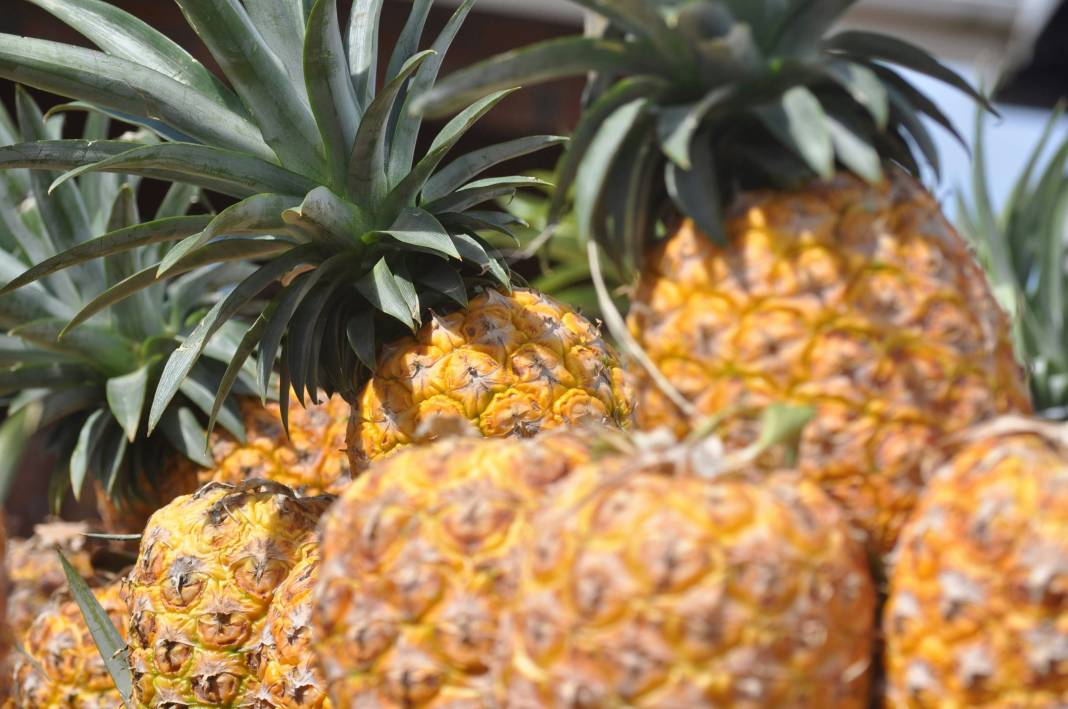 Ananas yemeden önce bilmeniz gereken 25 gerçek 21