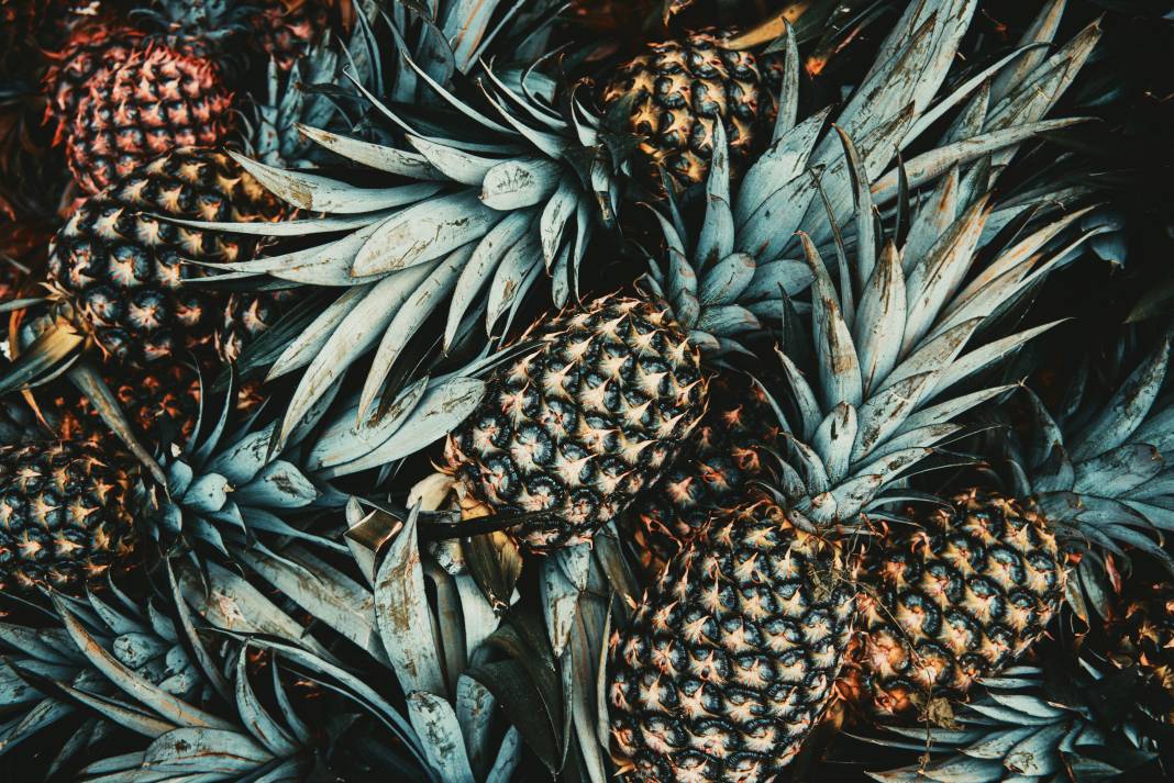 Ananas yemeden önce bilmeniz gereken 25 gerçek 15