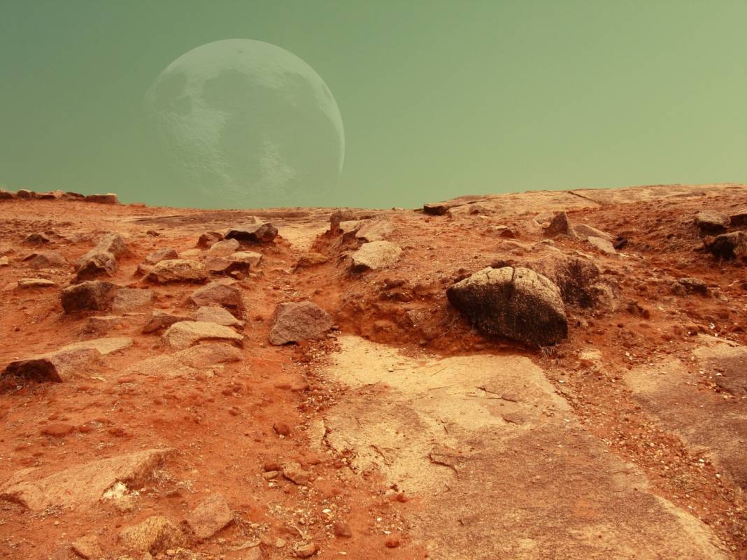 Mars'ta yaşayabilecek bir bitki keşfedildi. Bilim dünyası harekete geçti 3