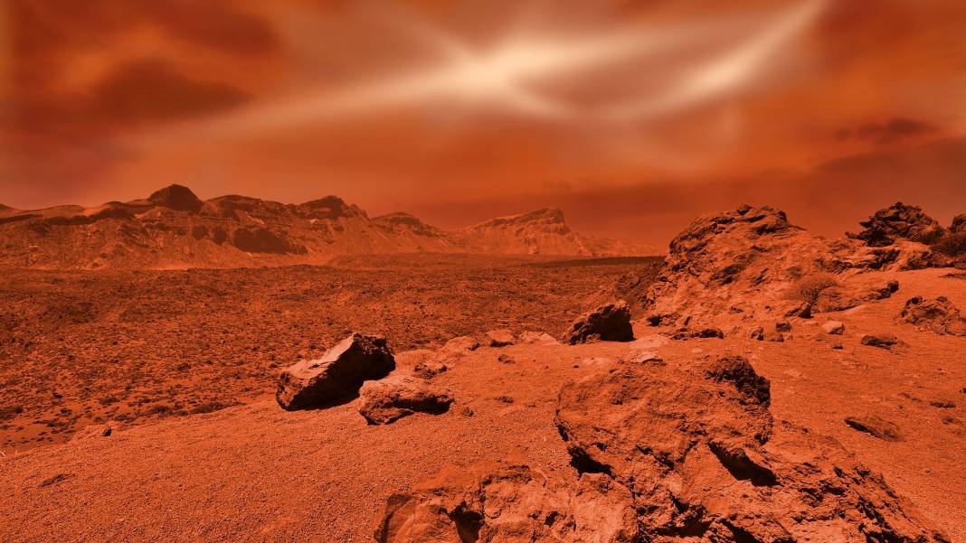 Mars'ta yaşayabilecek bir bitki keşfedildi. Bilim dünyası harekete geçti 2
