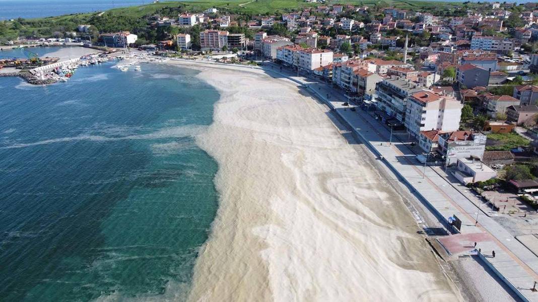 Kabus denizlere geri dönüyor 1