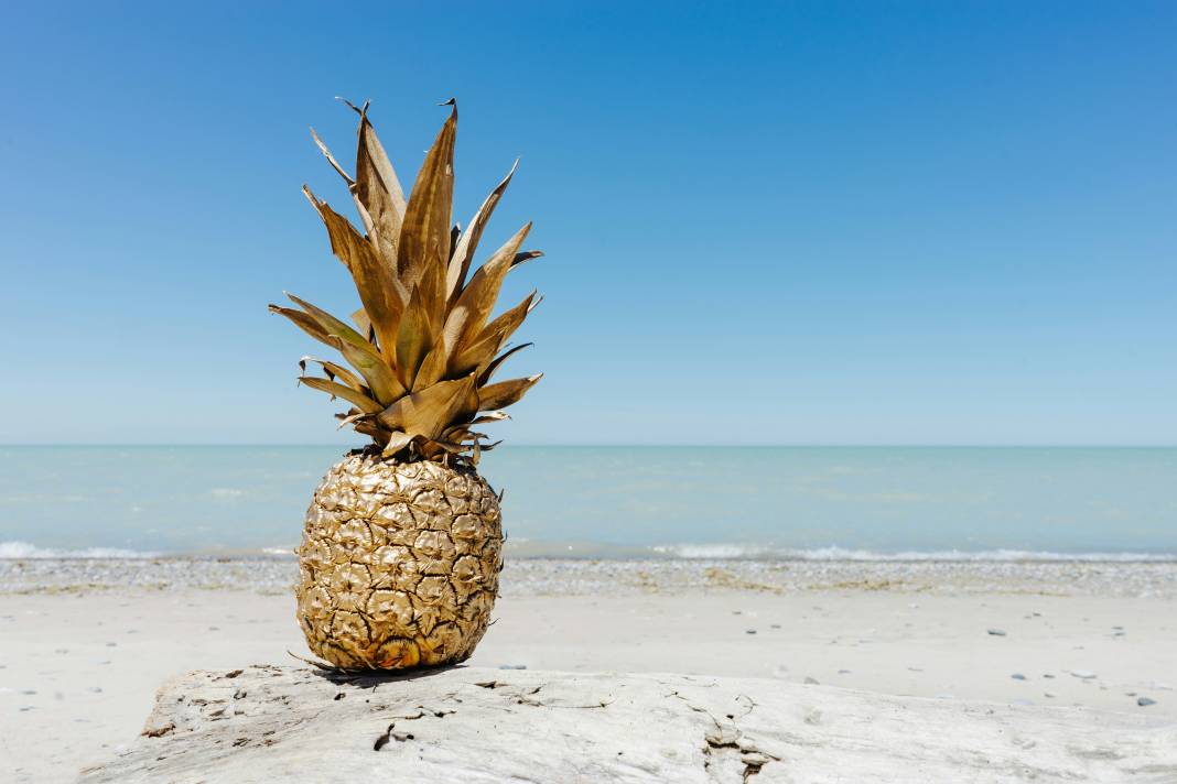 Ananas yemeden önce bilmeniz gereken 25 gerçek 4