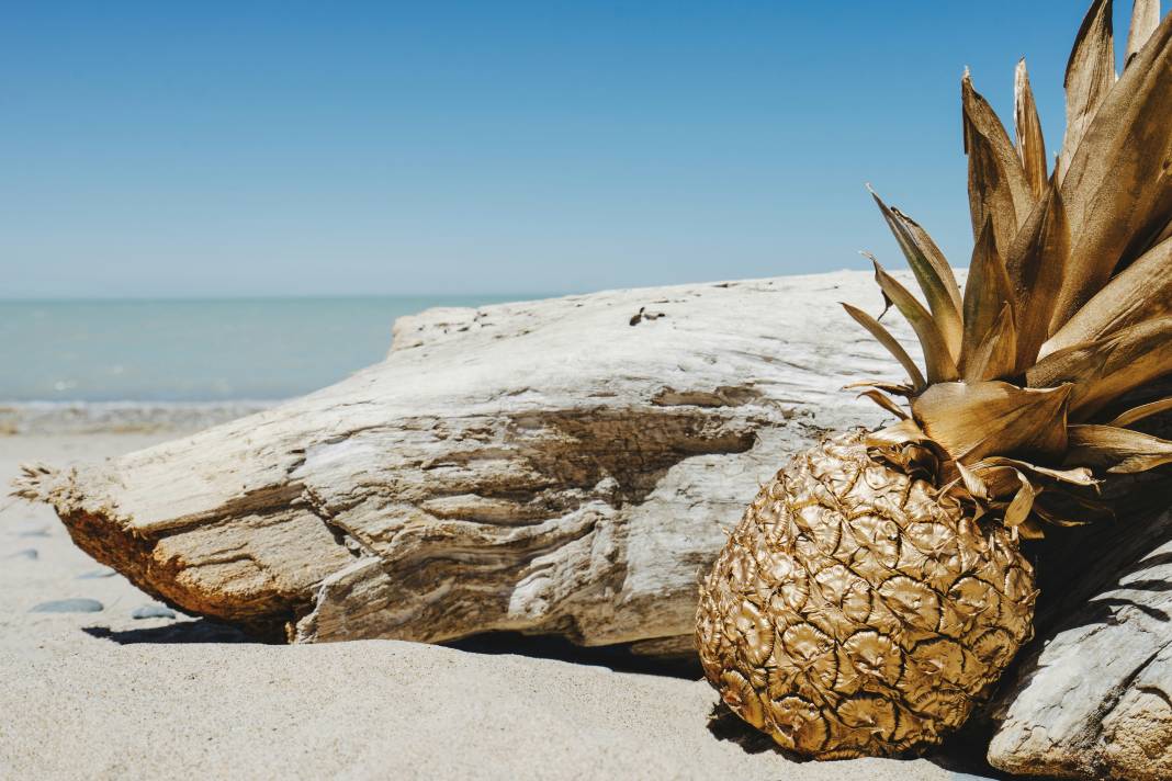 Ananas yemeden önce bilmeniz gereken 25 gerçek 13