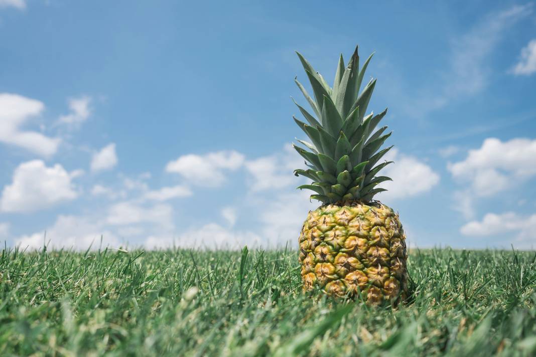 Ananas yemeden önce bilmeniz gereken 25 gerçek 8