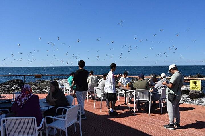 Karadeniz'in yeni turizm rotası: Kayalık alan üzerinde oluşturuldu 8