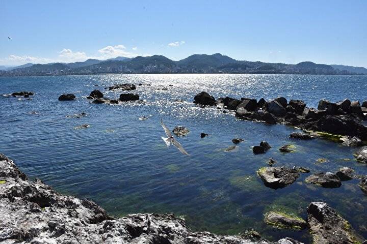 Karadeniz'in yeni turizm rotası: Kayalık alan üzerinde oluşturuldu 4