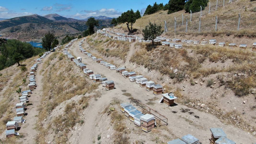 Kısırlığı anında bitiriyor kalbi saat gibi çalıştırıyor. Kanser tedavisinin vazgeçilmezi. 100 gramı 2 bin 500 TL 10