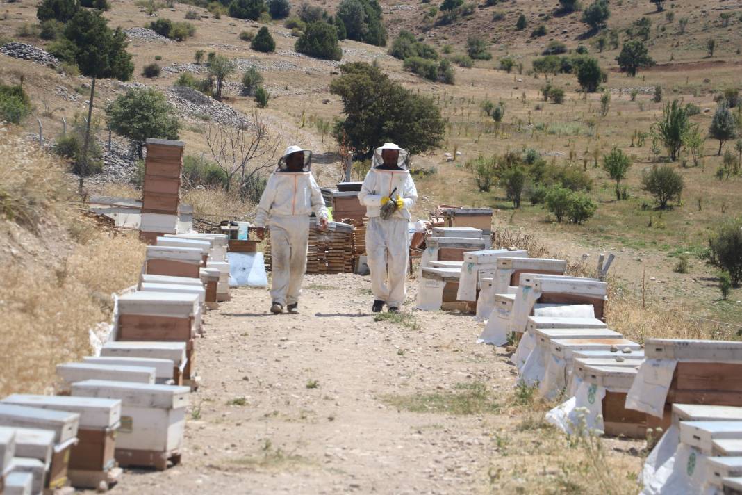 Kısırlığı anında bitiriyor kalbi saat gibi çalıştırıyor. Kanser tedavisinin vazgeçilmezi. 100 gramı 2 bin 500 TL 2