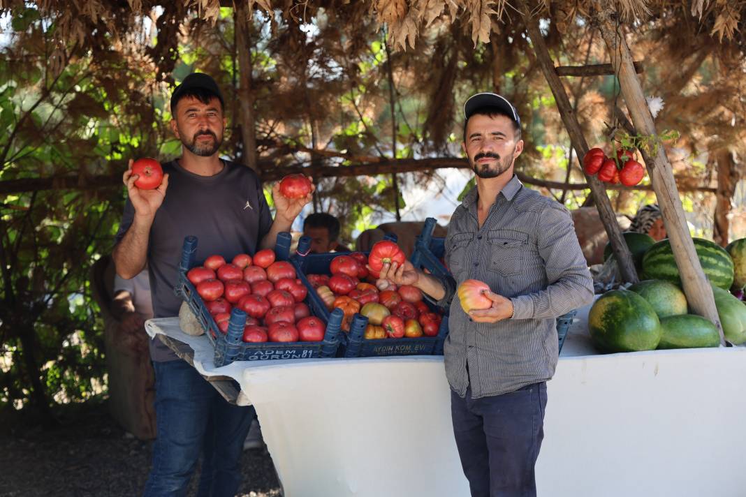 At ve katırlarla taşınıyor sarp arazide hasadı başladı. Ata tohumundan ektiler kilosu 30 TL'den satılıyor 7