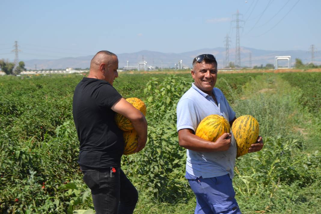 600 ton kavun ve karpuzu bedavaya dağıttılar. Duyan oraya koştu 9