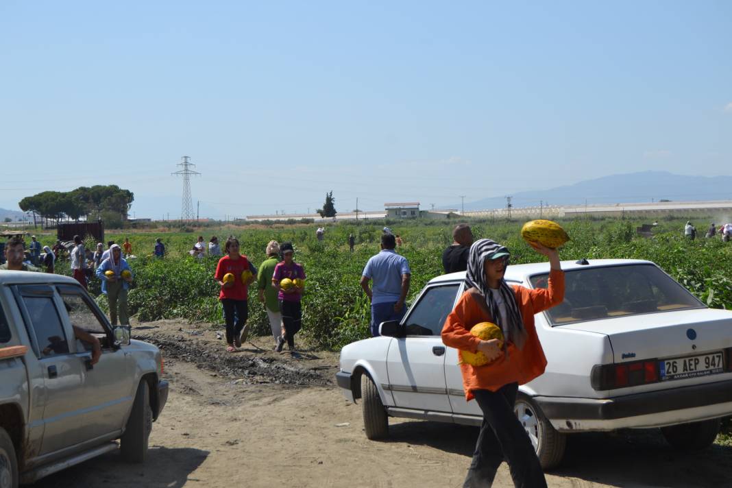 600 ton kavun ve karpuzu bedavaya dağıttılar. Duyan oraya koştu 4