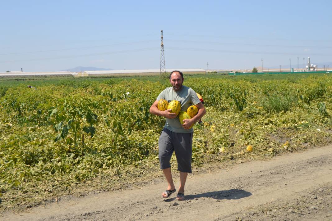 600 ton kavun ve karpuzu bedavaya dağıttılar. Duyan oraya koştu 10