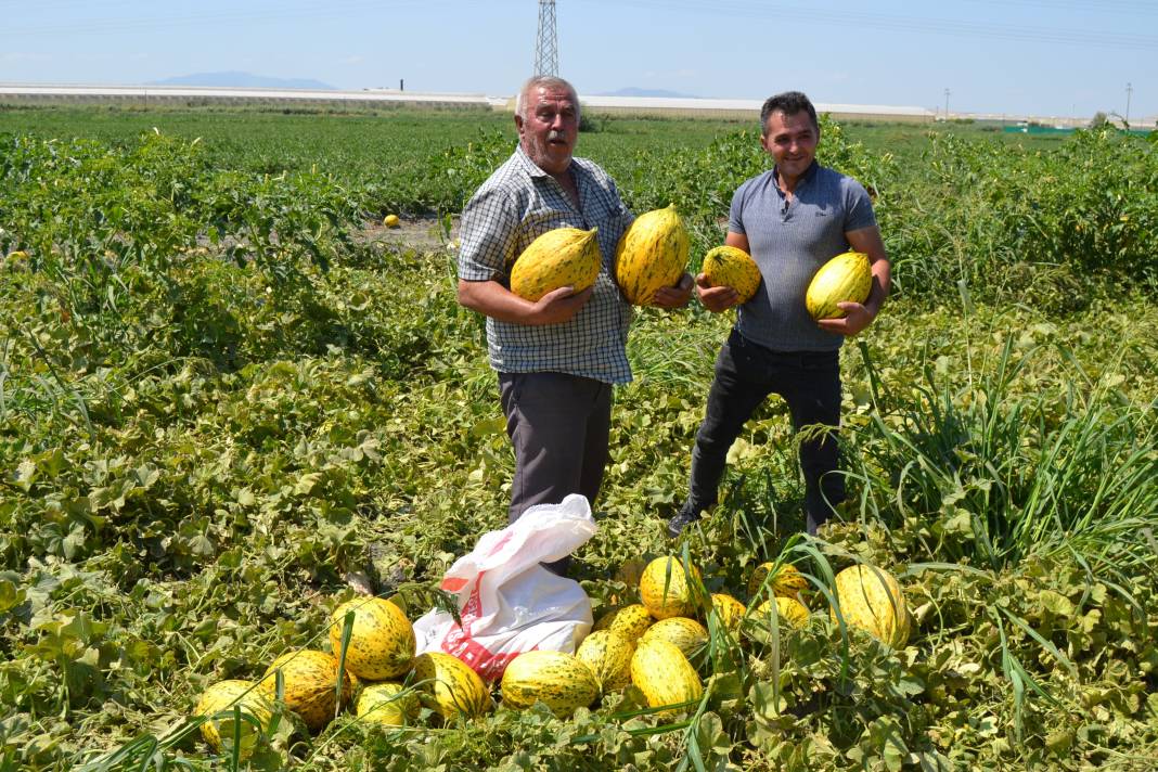 600 ton kavun ve karpuzu bedavaya dağıttılar. Duyan oraya koştu 18