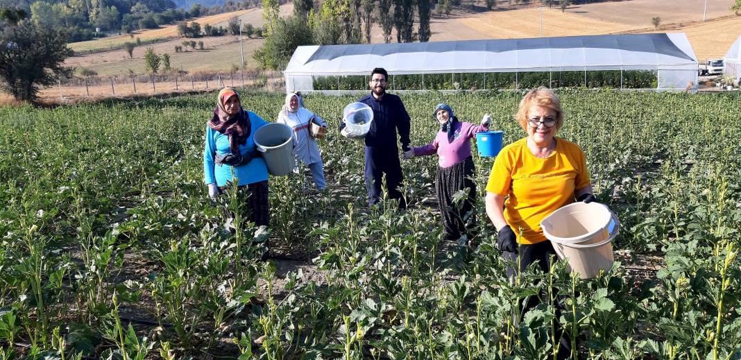 Pazarda 180, kendin toplarsan 80 lira! Duyan çevre illerden akın etti 2