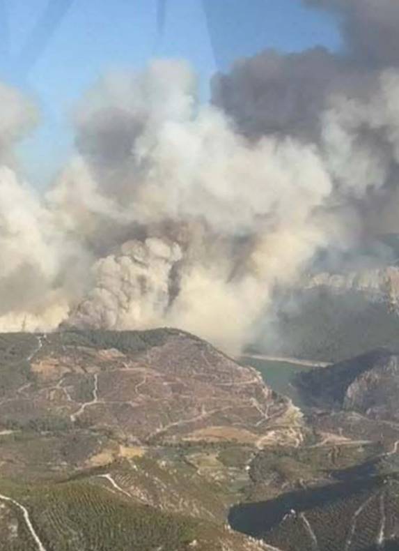 3 ildeki yangının arkasında bıraktığı manzaralar yürek yaktı. Binlerce ağaç küle döndü 19