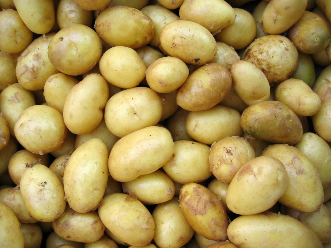 Patates yemeden önce bilmeniz gereken 25 gerçek 1